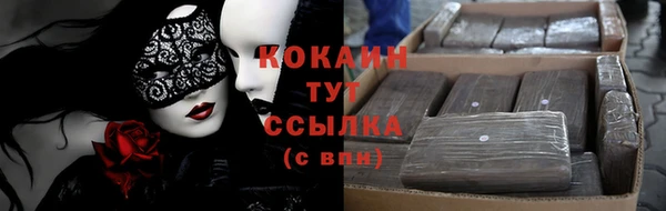 прущая мука Ельня