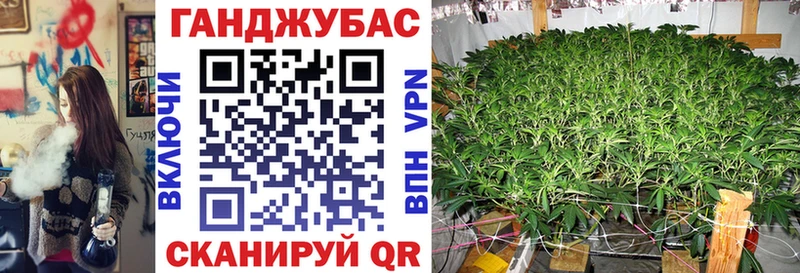 Марихуана MAZAR  Купить где  Сланцы 
